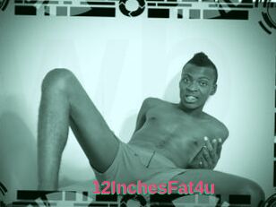 12InchesFat4u