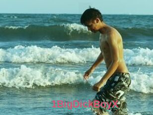 1BigDickBoyX
