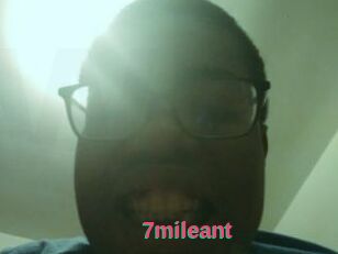 7mileant