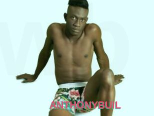 ANTHONYBUIL