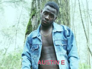 AUSTIN_E