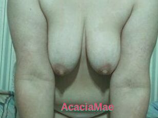 AcaciaMae