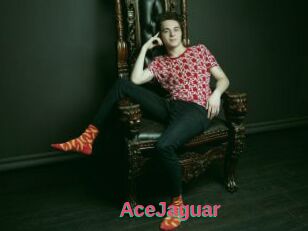 AceJaguar