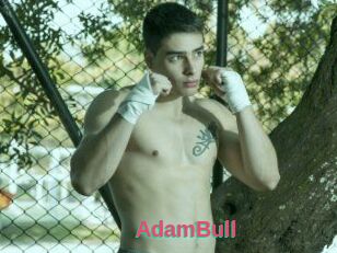 AdamBull