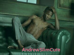 AndrewSlimCute