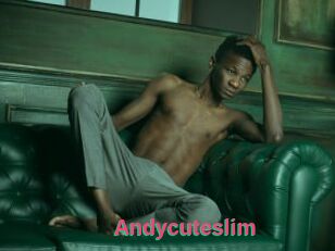 Andycuteslim