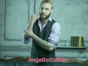 AngelloStallion