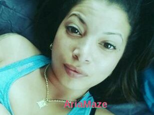 Aria_Maze