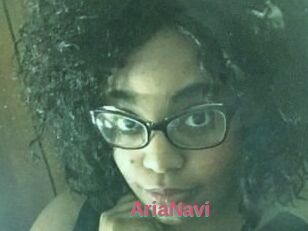 AriaNavi
