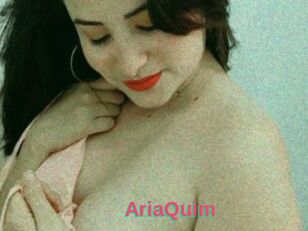 AriaQuim