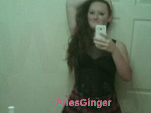 AriesGinger