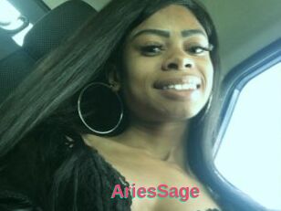 AriesSage
