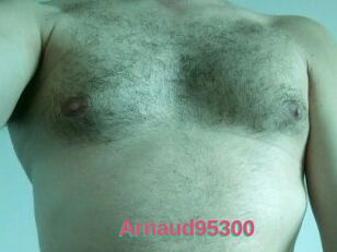 Arnaud95300