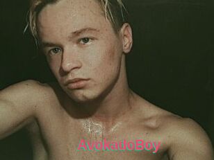 AvokadoBoy