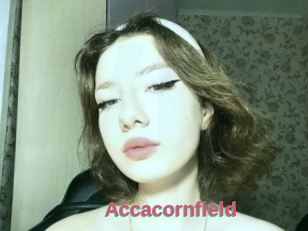 Accacornfield