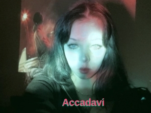 Accadavi