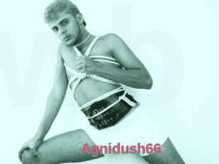 Agnidush66