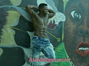 Alexbigmuscle