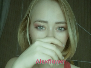 Alexflower
