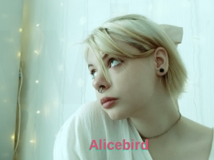 Alicebird