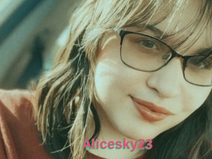 Alicesky23