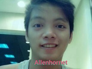 Allen_hornet