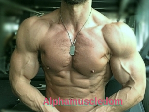 Alphamuscledom