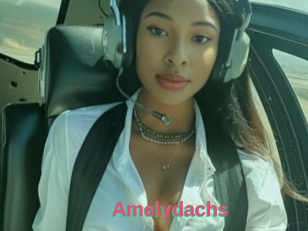 Amelydachs