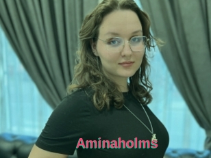Aminaholms