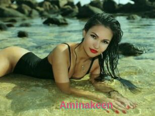 Aminakeen