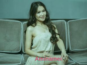 Aminamei