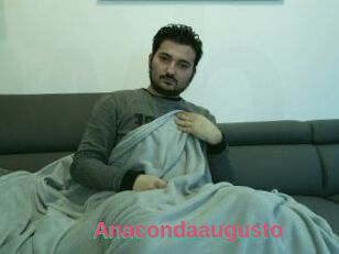 Anacondaaugusto