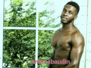 Andresbaudin