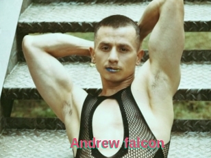 Andrew_falcon