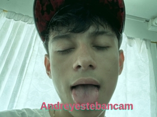 Andreyestebancam