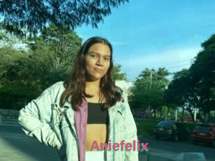 Aniefelix