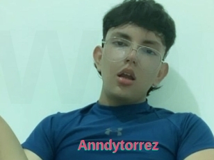 Anndytorrez