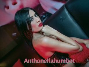Anthonellahumbot