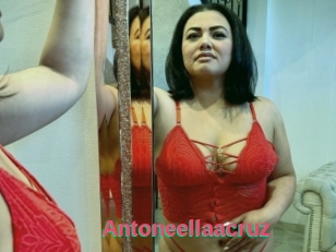 Antoneellaacruz