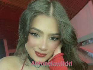 Antonelawildd