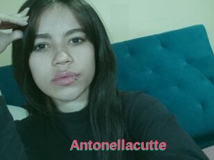 Antonellacutte