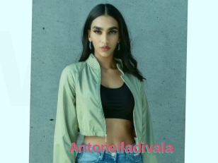 Antonelladivala