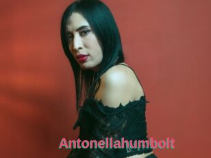 Antonellahumbolt