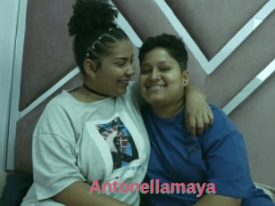 Antonellamaya