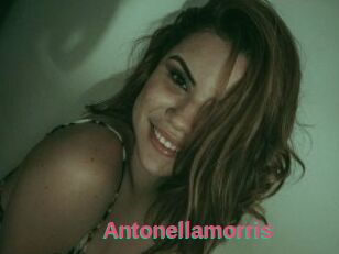 Antonellamorris