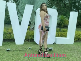 Antonellawilliam