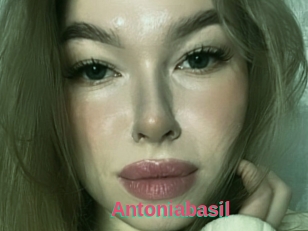 Antoniabasil