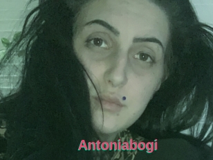 Antoniabogi