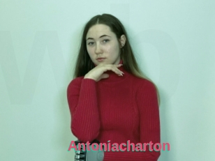 Antoniacharton