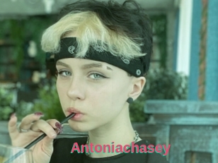 Antoniachasey